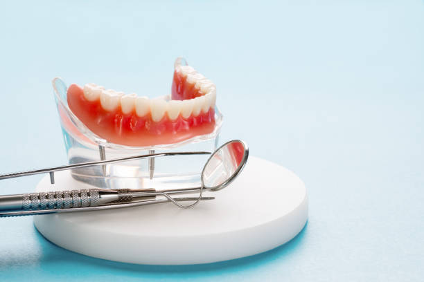 Best Traditional Braces  in Millersburg, OR